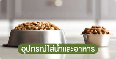 อุปกรณ์ให้อาหารสัตว์